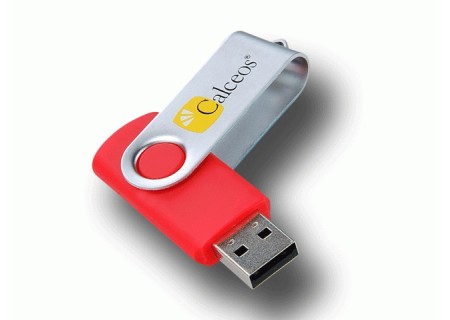  USB ROUGE